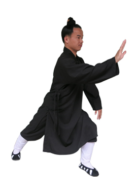 武当三丰太极十八式Wudang Sanfeng Style Taiji 18 Forms | 武当城隍