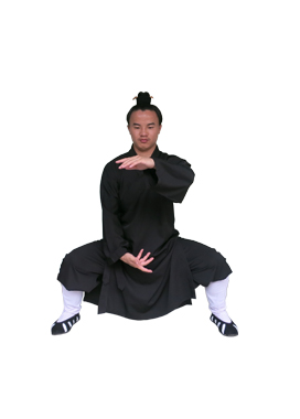 武当三丰太极十八式wudangsanfengstyletaiji18forms